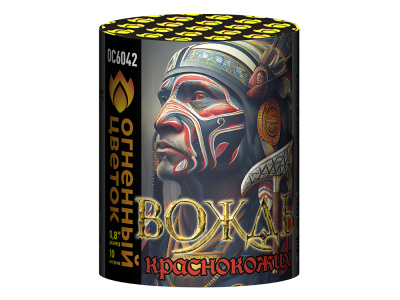 ОС6042 Вождь краснокожих Салюты 